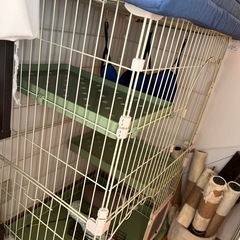 お話し中　
猫ゲージの画像