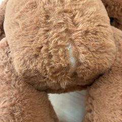 ファーリアルくまの画像