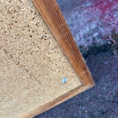 無料‼️両面コルクボード　60センチ✖️90センチの画像