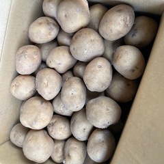 石狩産「北あかり」Lサイズ10キロ① の画像