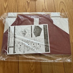 新品　未開封　クリスマス　プレゼント　ケース　任天堂　ニンテンドー　箱の画像