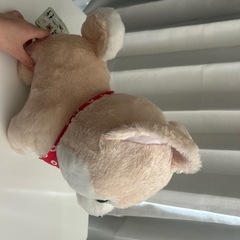 豆柴ぬいぐるみの画像
