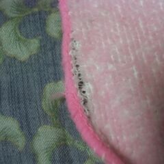 ●無料● ミニタオルハンカチ 6枚 まとめて 差し上げます。の画像