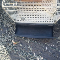 ウサギゲージの画像