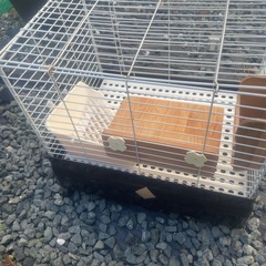 ウサギゲージの画像