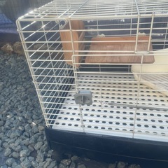 ウサギゲージの画像