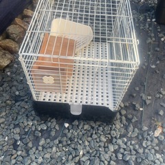 ウサギゲージの画像