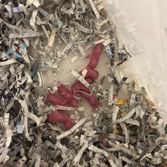 【申込多数のため一旦停止中】ジャンガリアンの赤ちゃん里親探し