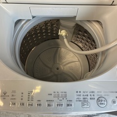 2025年製✨TOSHIBA製洗濯機の画像
