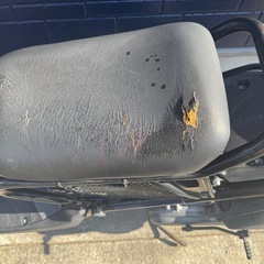 人気のズーマー
の画像