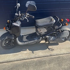 人気のズーマー
の画像