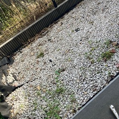 日本庭園　白川砂利 150キロほどの画像