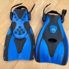 子供用ライフジャケットとフィンの画像