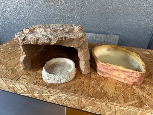 爬虫類 飼育セット