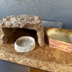 爬虫類 飼育セットの画像