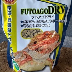 爬虫類 飼育セットの画像