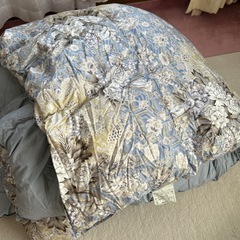 羽毛掛け布団(セミダブル)
の画像