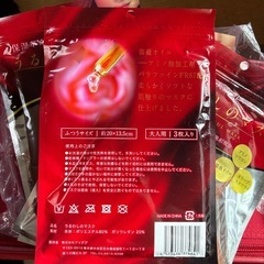 うるわしのマスクの画像