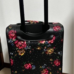 キャリーけケースの画像