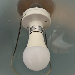 ダウンライトの画像