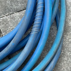 ホース①の画像