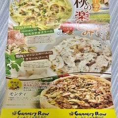 【月末まで】キャナリィロウ磐田、浜北店限定　100円引きクーポン付きチラシの画像