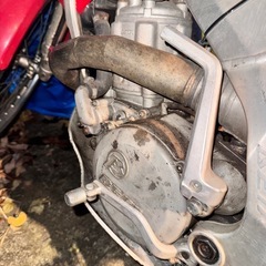 ベータ250250の画像