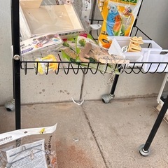 鳥かご　別売り可能の画像
