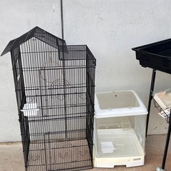 鳥かご　別売り可能の画像