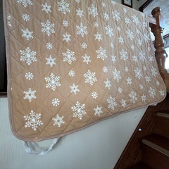 セミダブル　ボアシーツパッドの画像