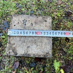 引取り限定　ブロック差し上げます　１０個の画像