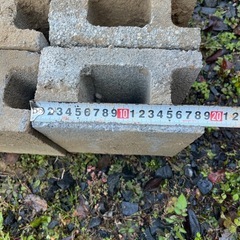 引取り限定　ブロック差し上げます　１０個の画像