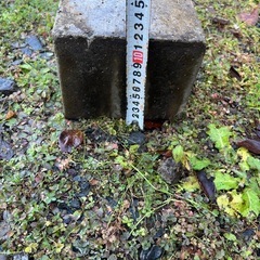 引取り限定　ブロック差し上げます　１０個の画像