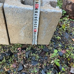 引取り限定　ブロック差し上げます　１０個の画像