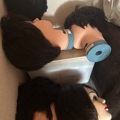 国家試験用　ウィッグ　カット済　使用済み　5体の画像