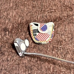 オデッセイパターの画像