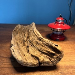 12、長皿〜〜素敵な、流木、天然物、インテリア、オブジェの画像
