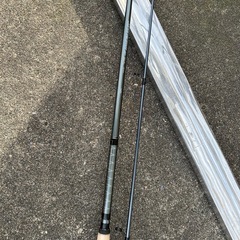 釣り竿　パワーソルトエボリューションⅡ 3.3m 2本継の画像