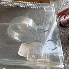 ハムスターゲージ‼️急ぎで引き取り願います🐹の画像