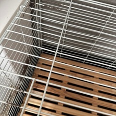 うさぎのゲージの画像