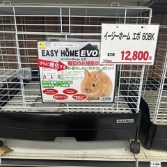 うさぎのゲージの画像