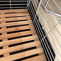 うさぎのゲージの画像