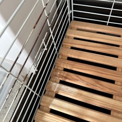 うさぎのゲージの画像