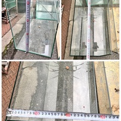 水槽 大量セット 早い者勝ちの画像