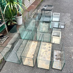 水槽 大量セット 早い者勝ちの画像
