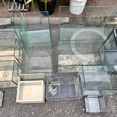 水槽 大量セット 早い者勝ちの画像