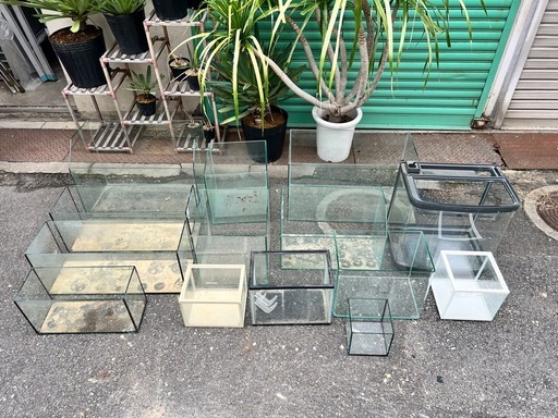 水槽 大量セット 早い者勝ち