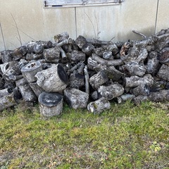 りんごの薪の画像