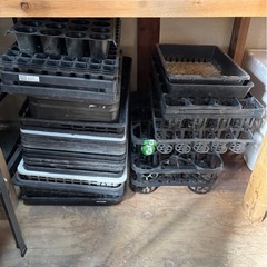 ポット 鉢 トレイ 大量セット 早い者勝ちの画像