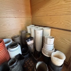 ポット 鉢 トレイ 大量セット 早い者勝ちの画像